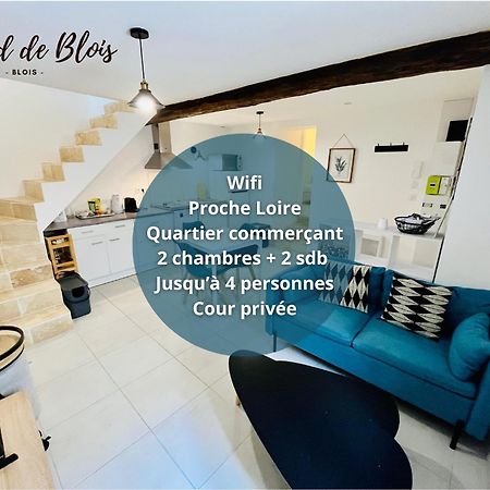 2 Suites, Cour Privee, Climatisation, Le Nid De Blois Vienne Kültér fotó